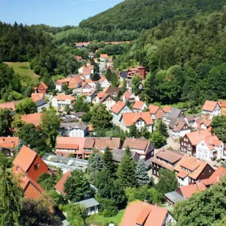Fewo Weltwald-harz Feriehus *